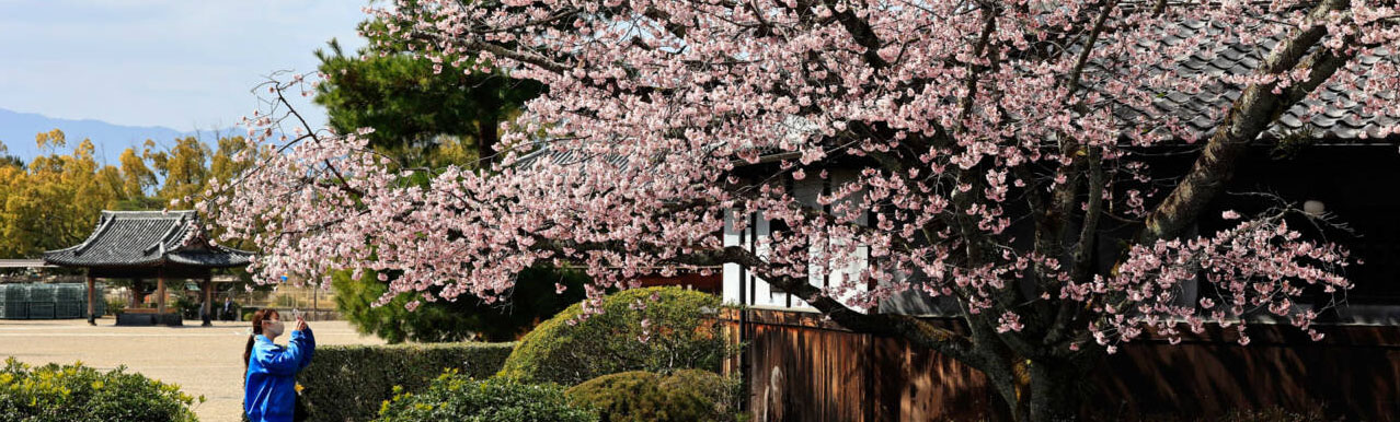 Tenrikyo Online – Latest Tenrikyo news, articles on the teachings, and ...