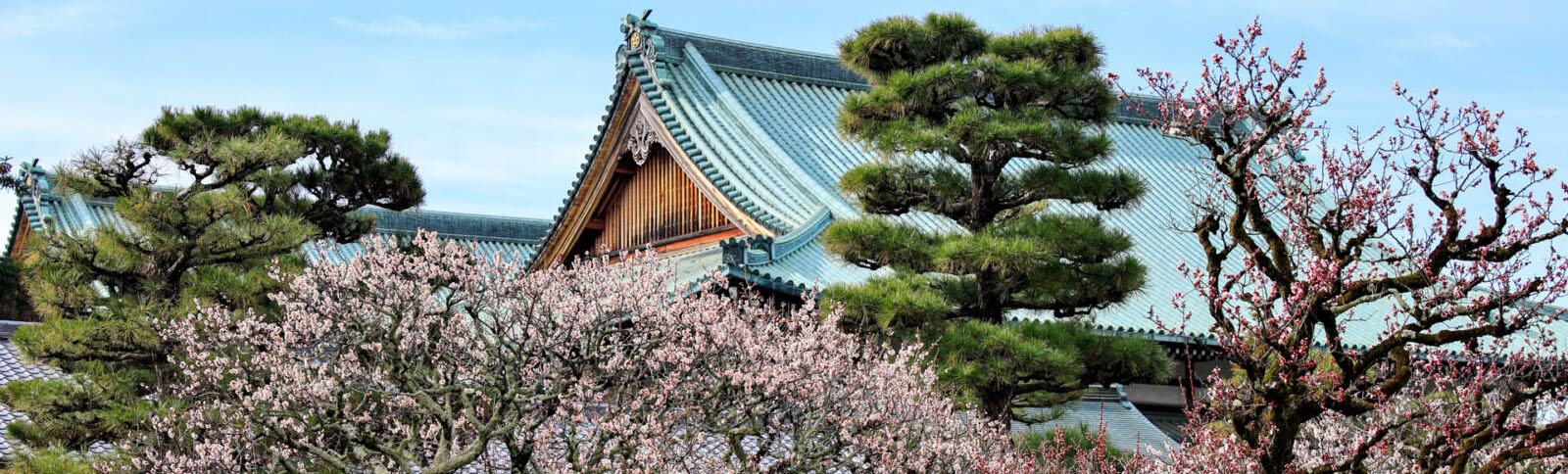 Students Training Course Held in the Home of the Parent for College-Age Students and High School Graduates